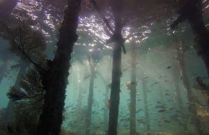 Η ακριβής θέση της Ατλαντίδας και η χρονολόγηση της επίθεσης των Ατλάντων