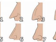 Το σχήμα της μύτης φανερώνει την προσωπικότητα