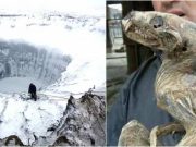 Οι Πάγοι στη Σιβηρία Λιώνουν και Εμφανίζονται Απόκοσμα Πλάσματα