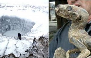 Οι Πάγοι στη Σιβηρία Λιώνουν και Εμφανίζονται Απόκοσμα Πλάσματα