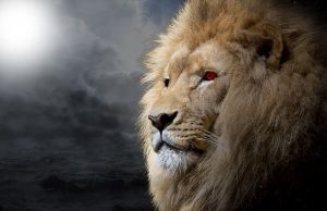 Τα τέσσερα ισχυρότερα ζώδια και οι κρυμμένες τους δυνάμεις