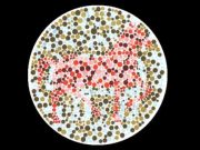 Το Ζώο που Βλέπετε στην Εικόνα Σημαίνει Κάτι Σημαντικό για τον Χαρακτήρα σας!