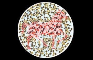 Το Ζώο που Βλέπετε στην Εικόνα Σημαίνει Κάτι Σημαντικό για τον Χαρακτήρα σας!