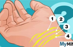 Πόσες γραμμές έχουμε στον καρπό μας και τι δείχνουν για εμάς