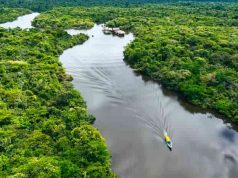 Έχει ο Αμαζόνιος Ελληνική Καταγωγή; Αμαζόνιος