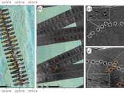 «Πατημασιές» αγνωστου θηριώδους πλάσματος στο βυθό «Πατημασιές» αγνωστου θηριώδους πλάσματος στο βυθό