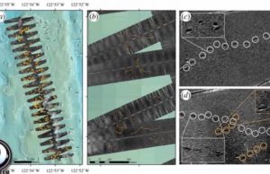 «Πατημασιές» αγνωστου θηριώδους πλάσματος στο βυθό «Πατημασιές» αγνωστου θηριώδους πλάσματος στο βυθό