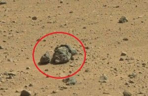 Είναι η Φωτό από ένα Κάτοικο του Πλανήτη Άρη;