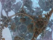 Τι Βρήκαν Κορυφαίοι Επιστήμονες σε Επτά Δείγματα από Εξωγήινα Σκάφη