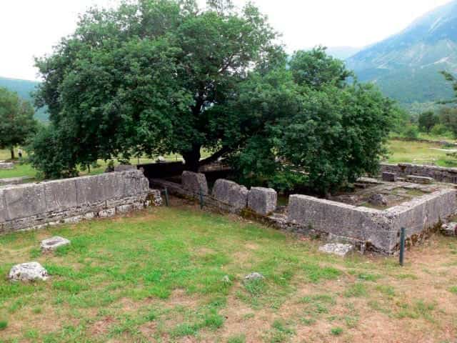 Βελανιδιά ή Δρυς. Το Ιερό Δένδρο των Αρχαίων Ελλήνων