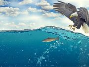 Η προφητεία που ζωντανεύει στη Νεκρά Θάλασσα