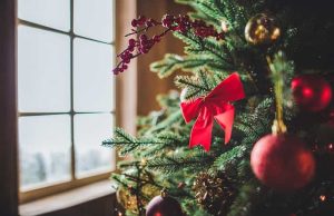 Τι δείχνει η επιλογή μας στο Χριστουγεννιάτικο Δέντρο μας για τον χαρακτήρα και την προσωπικότητά μας