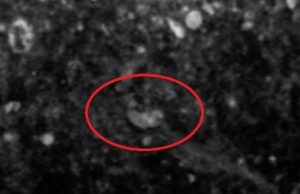 Το αρχαίο νόμισμα που βρέθηκε στην επιφάνεια του Άρη και τι δείχνει η μία όψη του, σύμφωνα με ερευνητή