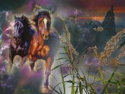 Νιώθετε ευαίσθητοι στην ενέργεια και τα συναισθήματα των άλλων;