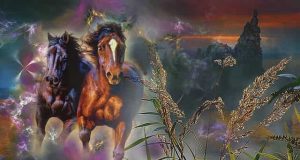 Νιώθετε ευαίσθητοι στην ενέργεια και τα συναισθήματα των άλλων;