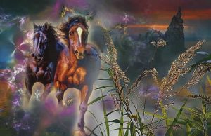 Νιώθετε ευαίσθητοι στην ενέργεια και τα συναισθήματα των άλλων;