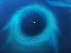 Τάφρος των Μαριανών. Τι Πραγματικά Κρύβει στα Νερά του το Βαθύτερο Σημείο του Πλανήτη