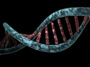 Το DNA μας ΔΕΝ είναι 100% Ανθρώπινο