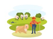 Ανέκδοτο. Ένας Ελληνοαμερικάνος Επισκέπτεται τον Αδερφό του Βοσκό στην Κρήτη ένας βοσκός με πρόβατα και ένα σκύλο τριγύρω