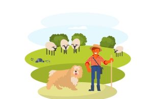 Ανέκδοτο. Ένας Ελληνοαμερικάνος Επισκέπτεται τον Αδερφό του Βοσκό στην Κρήτη ένας βοσκός με πρόβατα και ένα σκύλο τριγύρω