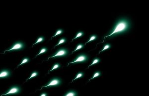 Αναπαραγωγή των Όντων του Φωτός με ανθρώπους. Πως γίνεται;