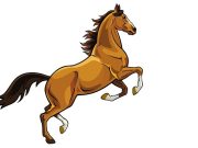 Ανέκδοτο: Παντρεύτηκε κάποιος που είχε άγριο άλογο άγριο άλογο στα δύο πόδια