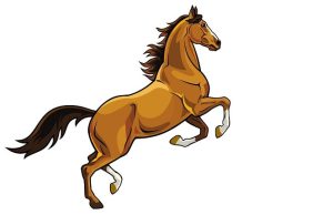 Ανέκδοτο: Παντρεύτηκε κάποιος που είχε άγριο άλογο άγριο άλογο στα δύο πόδια