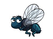 Ανέκδοτο: Ζωγραφίζει το γυφτάκι μια μύγα στον πίνακα μύγα