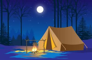 Ανέκδοτο: Μπαίνει ο γύφτος στο τσαντίρι και φωνάζει Κάμπινγκ στο δάσος τη νύχτα με πανσέληνο