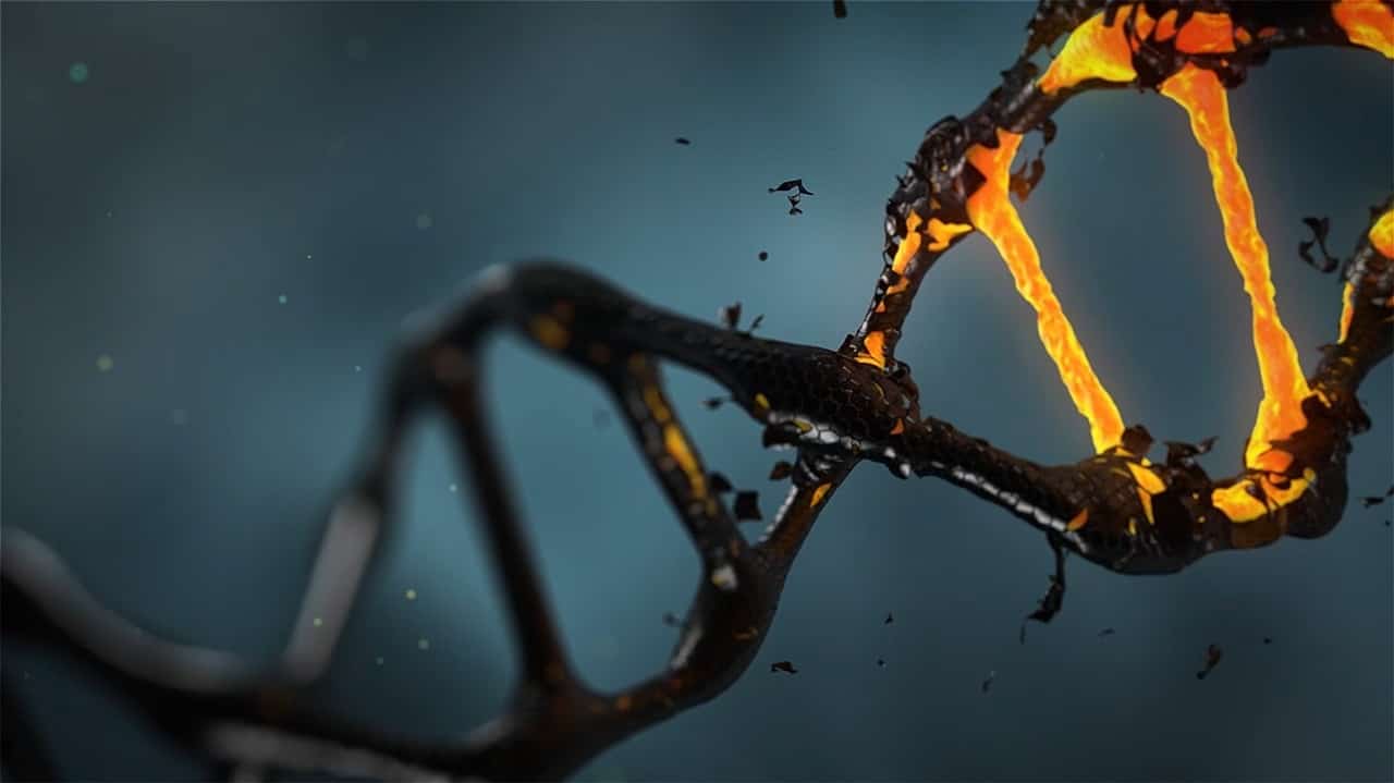Δεν Φαντάζεστε σε Ποιόν Ανήκει το Αρχαιότερο DNA που Ανακαλύφθηκε Ποτέ