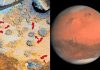 fungus-Life-on-Mars-1104520-min