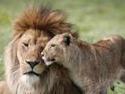 Πόσο «Δυνατό» είναι το κάθε Ζώδιο στο Κρεβάτι; Ποιό είναι Δυναμίτης!