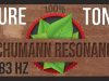 Πως ακούγεται η Συχνότητα της Γης 7,83, γνωστή και ως Αντήχηση Schumann, σε ένα ηχητικό βίντεο