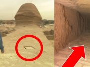 Μυστική Είσοδος στη Μεγάλη Σφίγγα της Γκίζας; Ενδείξεις Μυστική Είσοδος στη Μεγάλη Σφίγγα της Γκίζας; Ενδείξεις