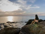 Σημάδια ότι έχουμε προοριστεί να είμαστε μόνοι και γιατί