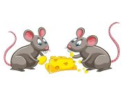 Ανέκδοτο: Ο νοικάρης φωνάζει τον σπιτονοικοκύρη της μονοκατοικίας όπου μένει αγανακτισμένος Δύο ποντίκια τρώνε τυρί