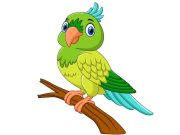 Ανέκδοτο: Μια κυρία, αρκετά ευκατάστατη είχε μια παπαγαλίνα παπαγαλίνα