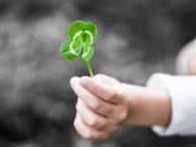 7 τρόποι να φέρουμε περισσότερη καλή τύχη στη ζωή μας χέρι προσφέρει τετράφυλλο τριφύλλι