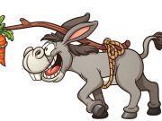 Ανέκδοτο: Όταν ο Θεός δημιούργησε τον γάιδαρο γάιδαρος