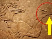 Οι αρχαίοι γνώριζαν για το “κουκουνάρι”, τον αδένα της επίφυσης, για περισσότερο από 2000 χρόνια