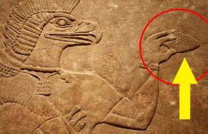 Οι αρχαίοι γνώριζαν για το “κουκουνάρι”, τον αδένα της επίφυσης, για περισσότερο από 2000 χρόνια