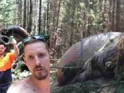 Συντριβή UFO στο Όρος Μακεδονία της Αυστραλίας με Ολοκάθαρες Φωτογραφίες; Πρόκειται για απομεινάρια από κινηματογραφικό σετ. Άλλη μια απάτη.