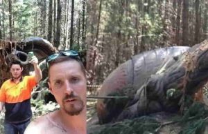 Συντριβή UFO στο Όρος Μακεδονία της Αυστραλίας με Ολοκάθαρες Φωτογραφίες; Πρόκειται για απομεινάρια από κινηματογραφικό σετ. Άλλη μια απάτη.