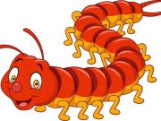 Ανέκδοτο: Μπαίνει ένας τύπος σε ένα Pet Shop να αγοράσει ένα παράξενο ζώο Σαρανταποδαρούσα κινουμένων σχεδίων