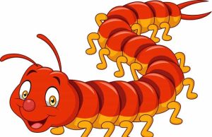 Ανέκδοτο: Μπαίνει ένας τύπος σε ένα Pet Shop να αγοράσει ένα παράξενο ζώο Σαρανταποδαρούσα κινουμένων σχεδίων