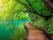 Ο Οδυσσέας Βρέθηκε σε έναν Έτοιμο Παράδεισο Αλλά τον Εγκατέλειψε ξύλινος διάδρομος ανάμεσα σε γαλάζια λίμνη και καταπράσινο δάσος