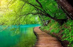 Ο Οδυσσέας Βρέθηκε σε έναν Έτοιμο Παράδεισο Αλλά τον Εγκατέλειψε ξύλινος διάδρομος ανάμεσα σε γαλάζια λίμνη και καταπράσινο δάσος