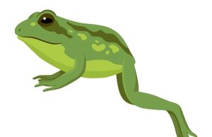 Ανέκδοτο: Ένα παλικάρι ήταν πολύ προικισμένο από τη φύση τόσο που του έφτανε τους 50 πόντους βάτραχος