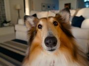 Αστείες ερωτήσεις που όποιος μπορέσει να τις απαντήσει, τότε όλοι θα τον παραδεχτούν