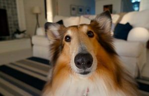 Αστείες ερωτήσεις που όποιος μπορέσει να τις απαντήσει, τότε όλοι θα τον παραδεχτούν